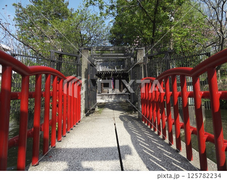 神社へ渡る橋の紅い欄干、東京都大田区山王「厳島神社」 125782234