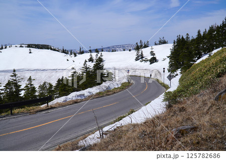 志賀草津高原ルートの雪の回廊 志賀草津高原ルートの雪の回廊 125782686