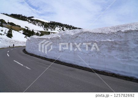 志賀草津高原ルートの雪の回廊 志賀草津高原ルートの雪の回廊 125782692