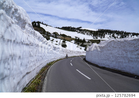 志賀草津高原ルートの雪の回廊 志賀草津高原ルートの雪の回廊 125782694