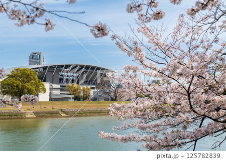 桜咲く 125782839
