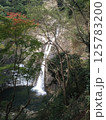 木々の間から望む秋の滝 / Waterfall seen through the trees 125783200