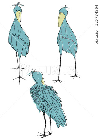 立つ大きい鳥ハシビロコウ　立ち姿　ハシビロコウ 125784564