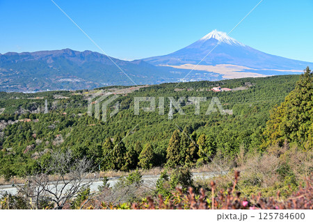 富士山を望む伊豆国「山中城」　障子堀と曲輪 125784600