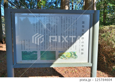 富士山を望む伊豆国「山中城」 障子堀と曲輪 富士山を望む伊豆国「山中城」 障子堀と曲輪 125784604