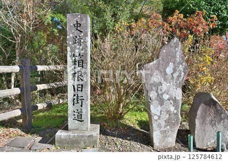 富士山を望む伊豆国「山中城」　障子堀と曲輪 125784612