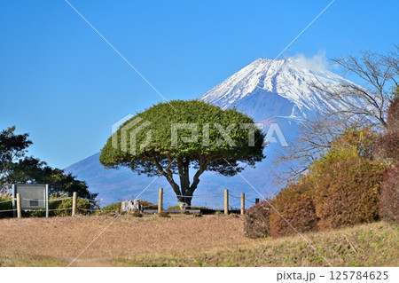 富士山を望む伊豆国「山中城」　障子堀と曲輪 125784625