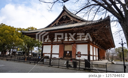 東寺　金堂　寺社　寺　真言　空海　弘法大師　京都　建築 125784652