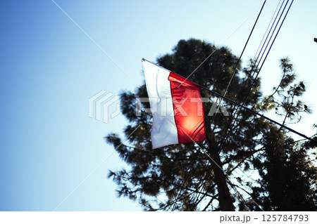 Polish Flag Waving Against the Sky, National Symbol of Poland 125784793