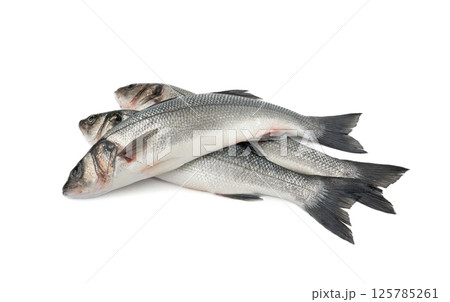 European seabass or Dicentrarchus labrax, whole raw labrax, branzino fish, European bass European seabass or Dicentrarchus labrax, whole raw labrax, branzino fish, European bass 125785261
