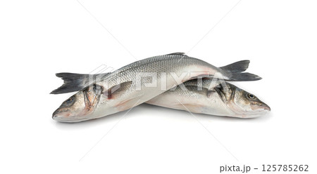 European seabass or Dicentrarchus labrax, whole raw labrax, branzino fish, European bass European seabass or Dicentrarchus labrax, whole raw labrax, branzino fish, European bass 125785262