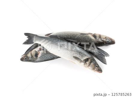 European seabass or Dicentrarchus labrax, whole raw labrax, branzino fish, European bass European seabass or Dicentrarchus labrax, whole raw labrax, branzino fish, European bass 125785263