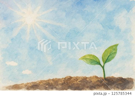 太陽 青空 双葉 大地 太陽 青空 双葉 大地 125785344
