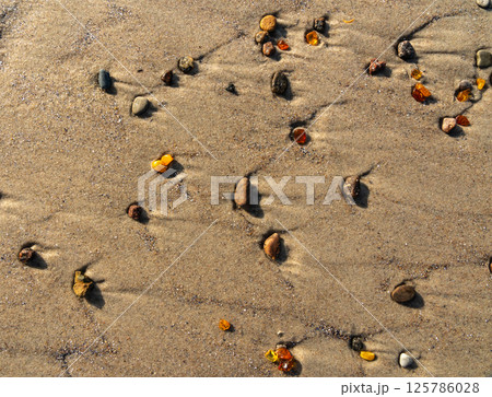 Amber stones on sea coast. Amber gems search on Baltic sea shore, fossilized tree resin crystals on sand 125786028
