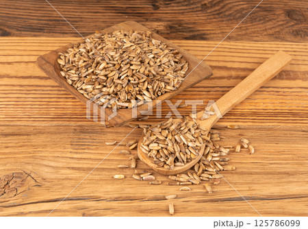 Milk thistle seeds, silybum marianum grains, dry blessed milkthistle fruits, variegated thistle kernels 125786099