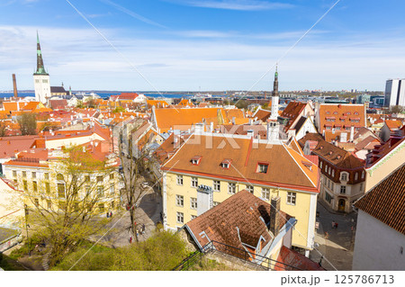 【エストニア】タリンの街並み 125786713
