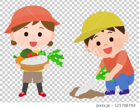 Boy and girl harvesting vegetables illustration Boy and girl harvesting vegetables illustration 125786784