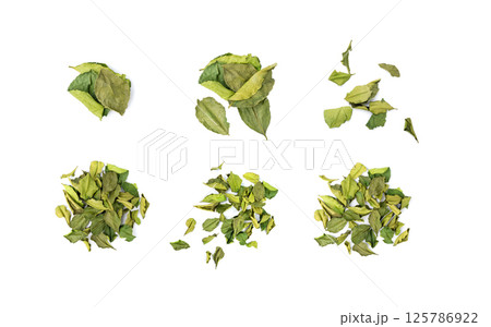 Thai lime dried leaves isolated, makrut lime or Citrus hystrix leaf pile, kaffir lime dry sprouts, Asia spices 125786922