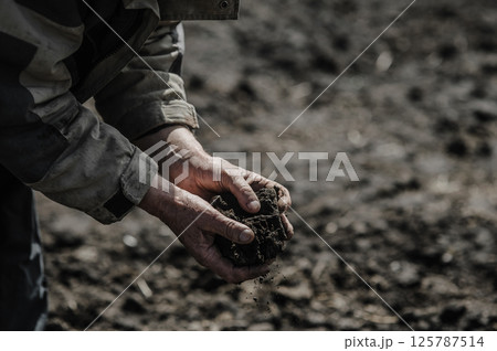 The weathered hands grasp the soil as if it were gold. The hands bear the marks of endless days in the fields. The weathered hands grasp the soil as if it were gold. The hands bear the marks of endless days in the fields. 125787514