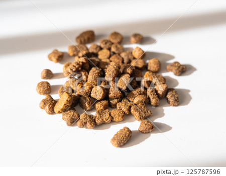 Dry pet food in sunlight, dog kibble pile, scattered puppy pellets, small canine protein croquette Dry pet food in sunlight, dog kibble pile, scattered puppy pellets, small canine protein croquette 125787596