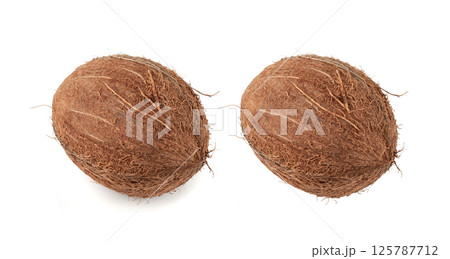 Whole coconut, one coco nut isolated, single fresh tropical palm fruit, natural milk, oil ingredient Whole coconut, one coco nut isolated, single fresh tropical palm fruit, natural milk, oil ingredient 125787712