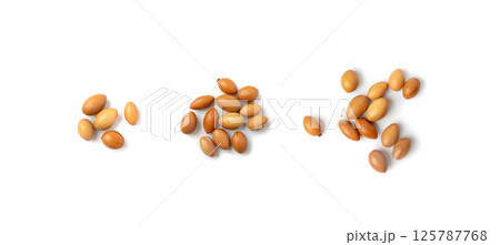 Argan Nuts Isolated, Argania Oil Seeds for Natural Organic Cosmetic, Skincare Argan Fruits 125787768