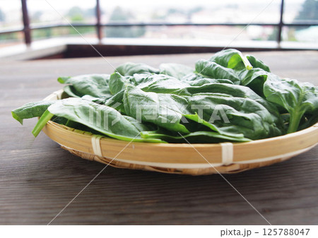 イタリアのほうれん草 野菜 葉 葉野菜 グリーン テーブル イタリアのほうれん草 野菜 葉 葉野菜 グリーン テーブル 125788047