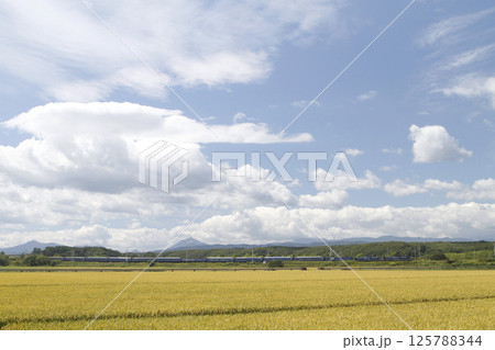 【ARCHIVE】寝台特急北斗星　豪華寝台列車　北斗星　 125788344