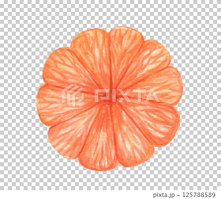 Watercolor mandarin, isolated food illustration. Tropical orange fruit 125788589