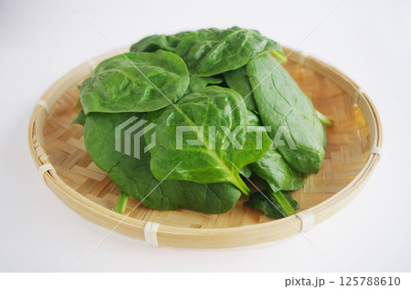 イタリアのほうれん草 野菜 葉 葉野菜 グリーン 竹ざる イタリアのほうれん草 野菜 葉 葉野菜 グリーン 竹ざる 125788610