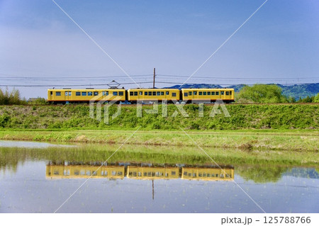 水鏡の田んぼを走る三岐鉄道 北勢線 水鏡の田んぼを走る三岐鉄道 北勢線 125788766