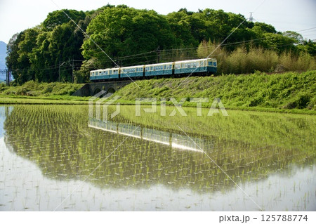 水鏡の田んぼを走る三岐鉄道 北勢線とメガネ橋 水鏡の田んぼを走る三岐鉄道 北勢線とメガネ橋 125788774