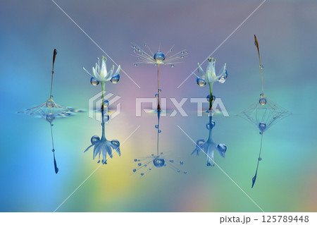水滴・創作写真 125789448