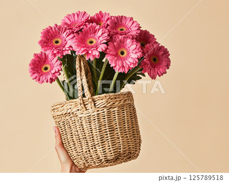 Pink gerberas in woven straw bag Pink gerberas in woven straw bag 125789518