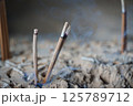 香炉に刺された線香 125789712
