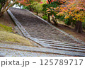 石段の紅葉と落ち葉 125789717