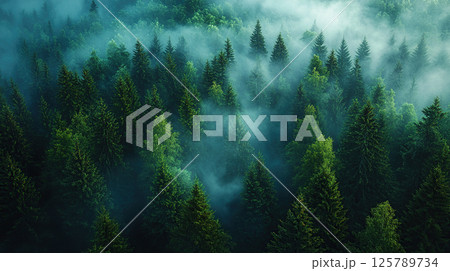A captivating aerial view of a dense forest enveloped in ethereal mist, creating a tranquil scene. A captivating aerial view of a dense forest enveloped in ethereal mist, creating a tranquil scene. 125789734