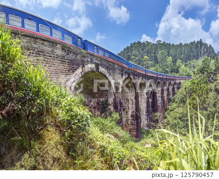 Historic Nine Arches Bridge in lush jungle near Ella, Sri Lanka, no people visible Historic Nine Arches Bridge in lush jungle near Ella, Sri Lanka, no people visible 125790457