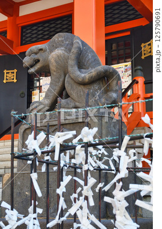 善國寺　石虎（東京都新宿区神楽坂） 125790691