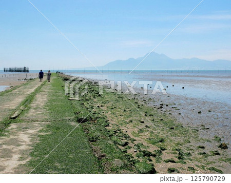 有明海　干潟と海床路　（熊本県玉名市） 125790729