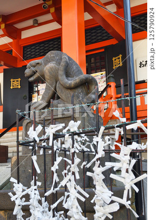 善國寺 石虎(東京都新宿区神楽坂) 善國寺 石虎(東京都新宿区神楽坂) 125790924