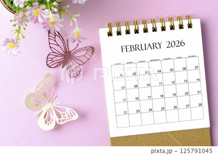 February 2026 desk calendar for the organizer to plan and reminder and paer butterfly on pink background. 125791045