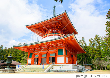世界遺産高野山　根本大塔と青空　壇上伽藍　和歌山県 125791055