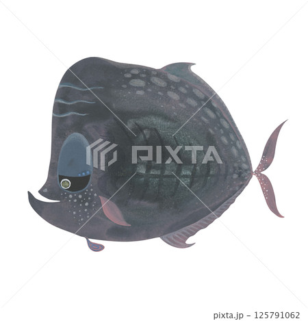 Watercolor fish illustration in dark tones. Delicate translucent textures. Hand-drawn silhouettes. A quiet, thoughtful marine creature with soft artistic detail and a ethereal atmosphere 125791062