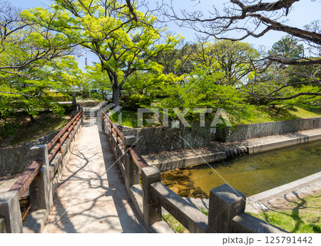 兵庫県西宮市 新緑の夙川公園 川添橋 125791442