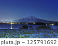 ネモフィラの咲く湖畔の富士山夜景 125791692