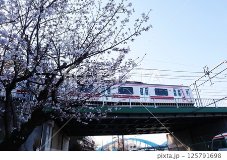 桜の花と東急東横線の電車(東京都大田区・多摩川台公園) 桜の花と東急東横線の電車(東京都大田区・多摩川台公園) 125791698