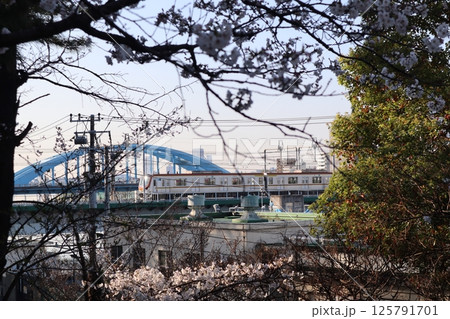 桜の花と東急東横線の電車（東京都大田区・多摩川台公園） 125791701