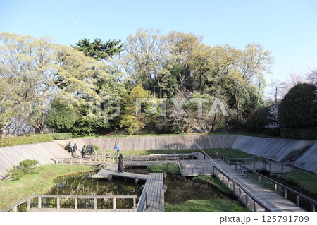 多摩川台公園の野草園（東京都大田区） 125791709