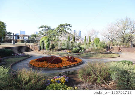 多摩川台公園の花壇(東京都大田区) 多摩川台公園の花壇(東京都大田区) 125791712